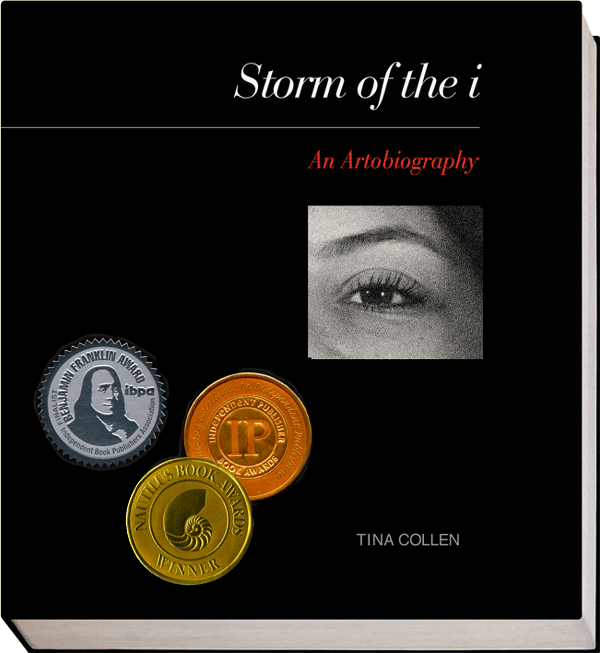 The cover of the "Storm of the I" book